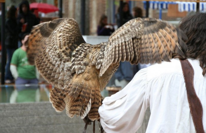 feria medieval 12