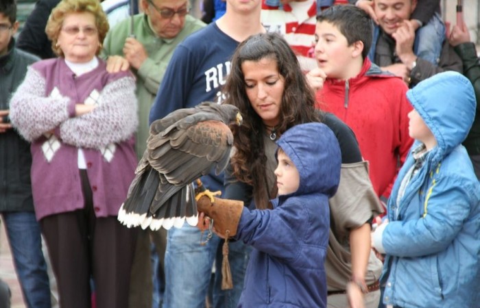 feria medieval 24