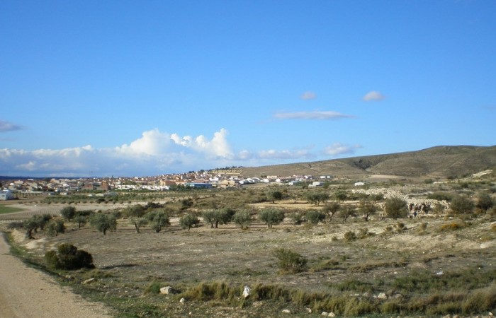 pueblo 23